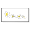 LINKED DAISIES