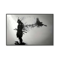 RONIN SPIRIT