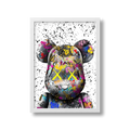 STREET BEAR